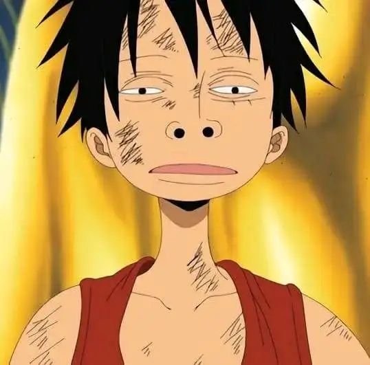 Monkey D. Luffy — Image 11